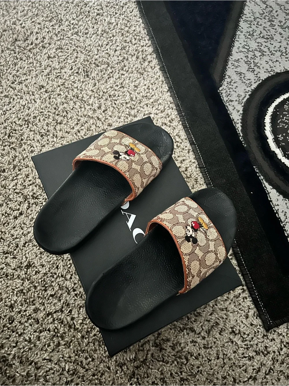 Coach shoe box
